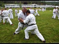 2017-06-29 555-border